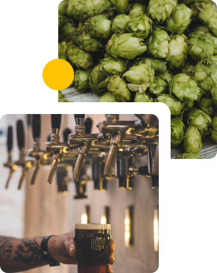 hops and beer being servied from a tap